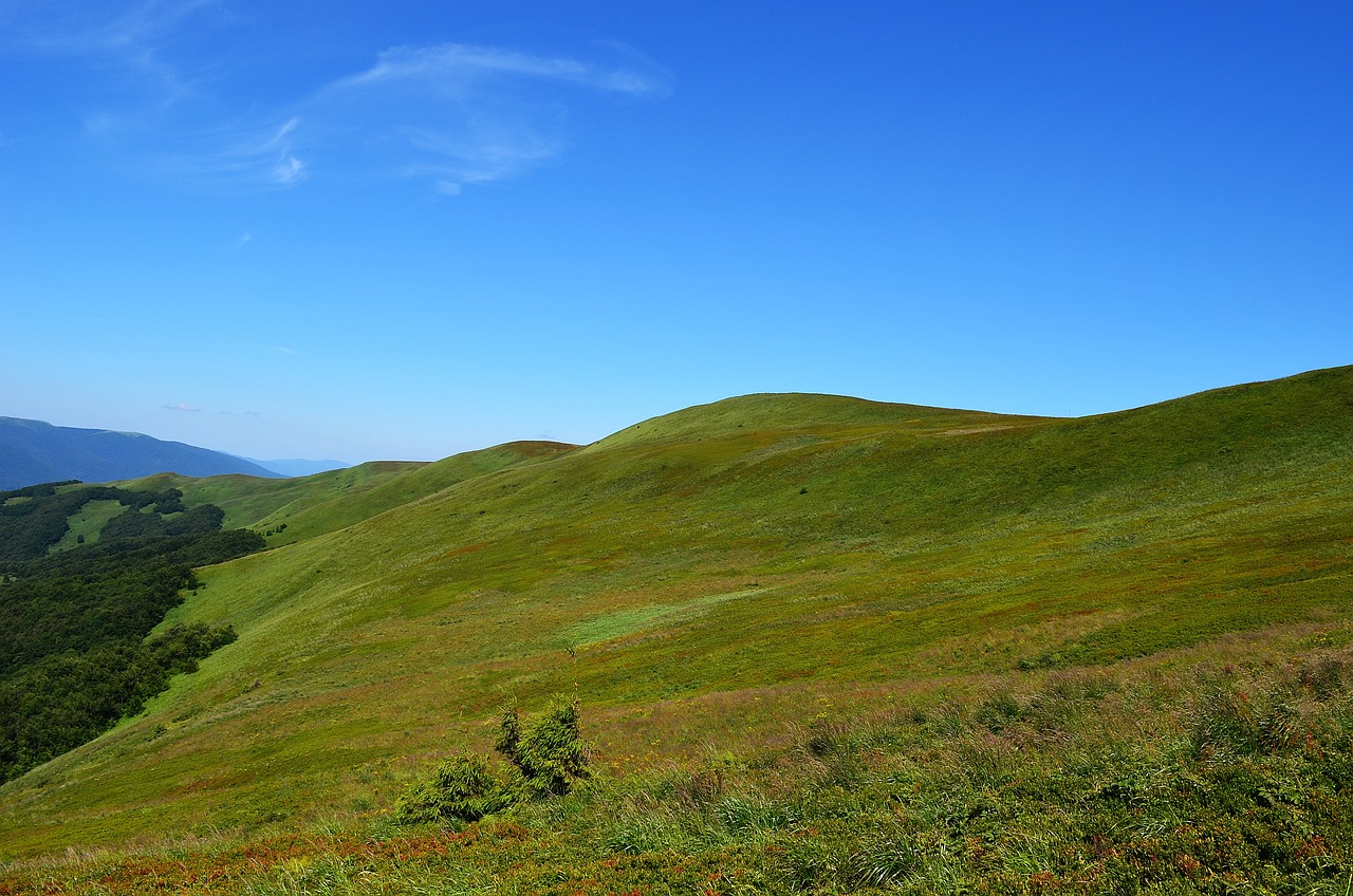 太原周边野餐露营野外小森林，自然之旅与心灵对话